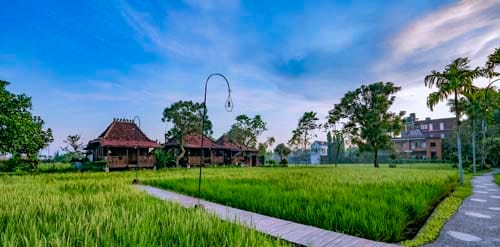 stay min. 5 nights, airport transfer on us
